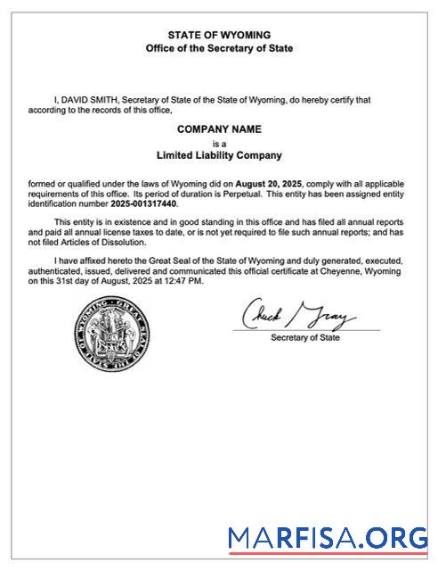 Realistic USA Wyoming certificate of registration Word and PDF template, version 2